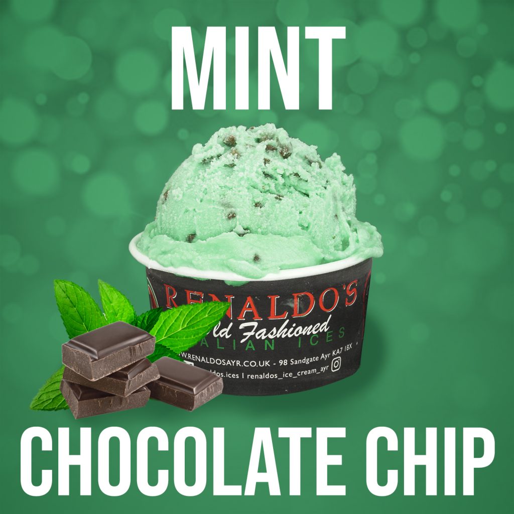 Mint Chocolate Chip